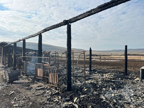 Фото ГУ МЧС России по Хакасии